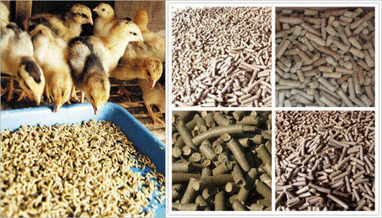 animal feed pellet production line (3)